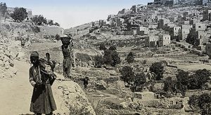 Read more about the article “עליה וקוץ בה” : העלייה של “תימני כנרת”